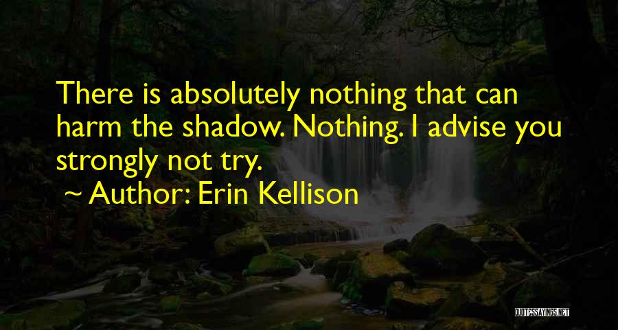 Erin Kellison Quotes: There Is Absolutely Nothing That Can Harm The Shadow. Nothing. I Advise You Strongly Not Try.