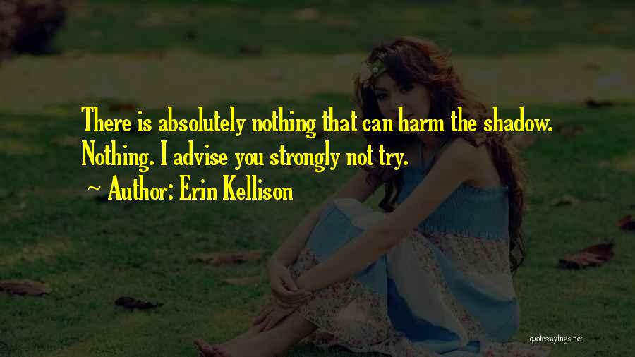 Erin Kellison Quotes: There Is Absolutely Nothing That Can Harm The Shadow. Nothing. I Advise You Strongly Not Try.