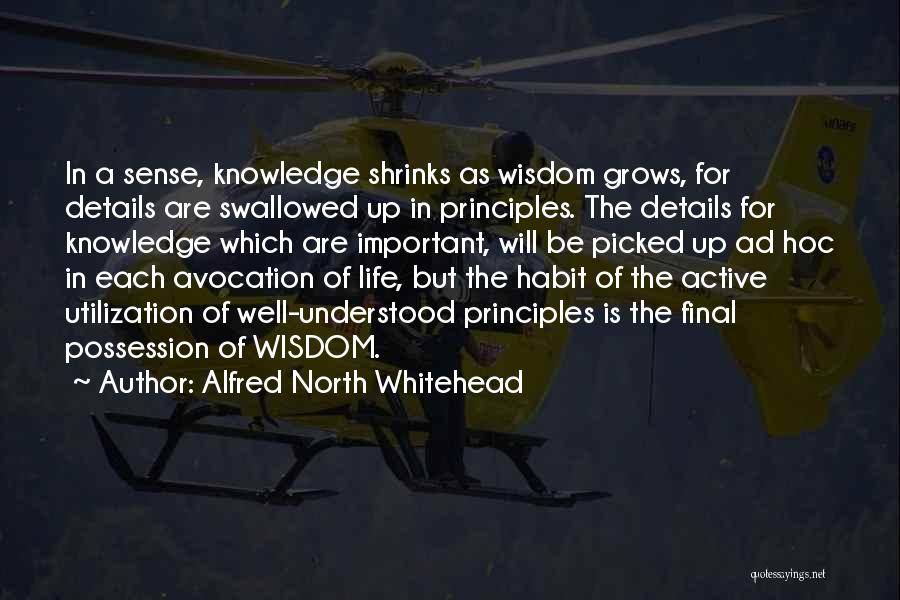 Alfred North Whitehead Quotes: In A Sense, Knowledge Shrinks As Wisdom Grows, For Details Are Swallowed Up In Principles. The Details For Knowledge Which