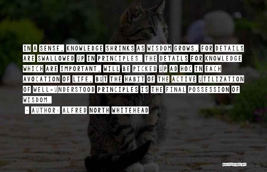 Alfred North Whitehead Quotes: In A Sense, Knowledge Shrinks As Wisdom Grows, For Details Are Swallowed Up In Principles. The Details For Knowledge Which
