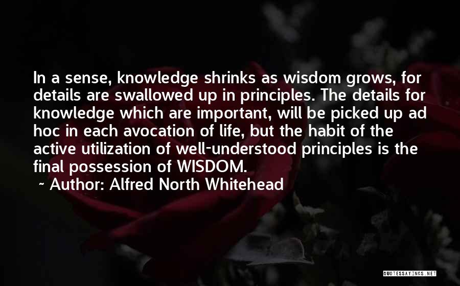 Alfred North Whitehead Quotes: In A Sense, Knowledge Shrinks As Wisdom Grows, For Details Are Swallowed Up In Principles. The Details For Knowledge Which