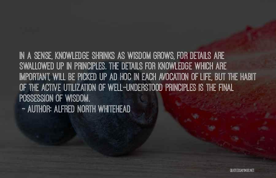 Alfred North Whitehead Quotes: In A Sense, Knowledge Shrinks As Wisdom Grows, For Details Are Swallowed Up In Principles. The Details For Knowledge Which