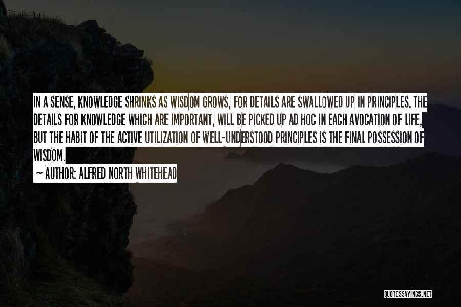 Alfred North Whitehead Quotes: In A Sense, Knowledge Shrinks As Wisdom Grows, For Details Are Swallowed Up In Principles. The Details For Knowledge Which