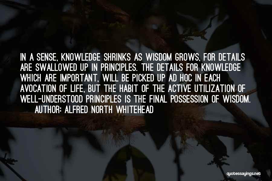 Alfred North Whitehead Quotes: In A Sense, Knowledge Shrinks As Wisdom Grows, For Details Are Swallowed Up In Principles. The Details For Knowledge Which