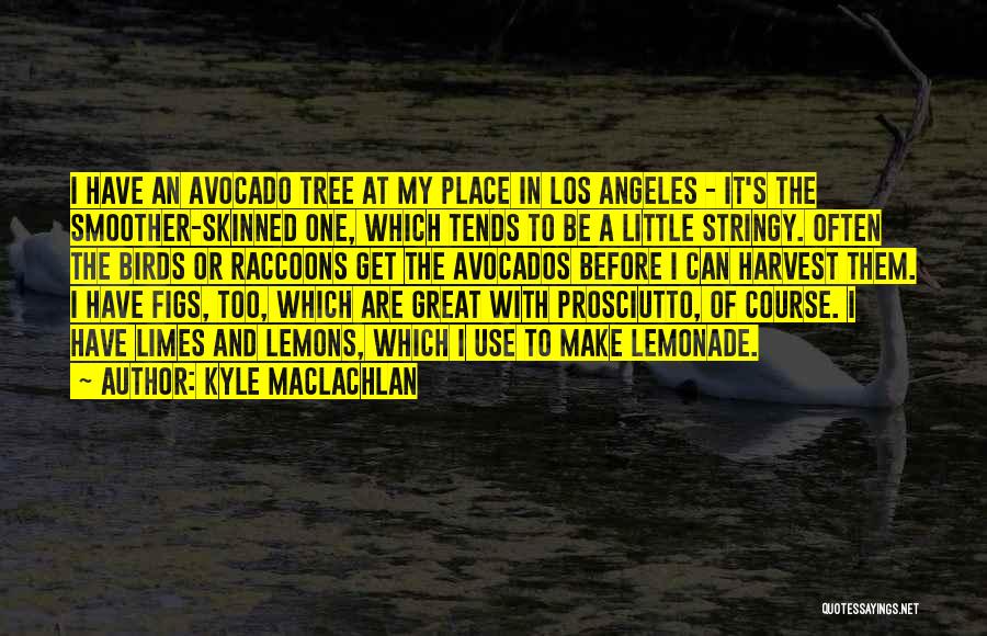 Kyle MacLachlan Quotes: I Have An Avocado Tree At My Place In Los Angeles - It's The Smoother-skinned One, Which Tends To Be