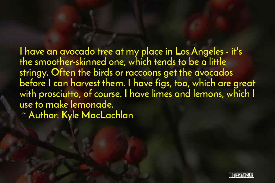 Kyle MacLachlan Quotes: I Have An Avocado Tree At My Place In Los Angeles - It's The Smoother-skinned One, Which Tends To Be