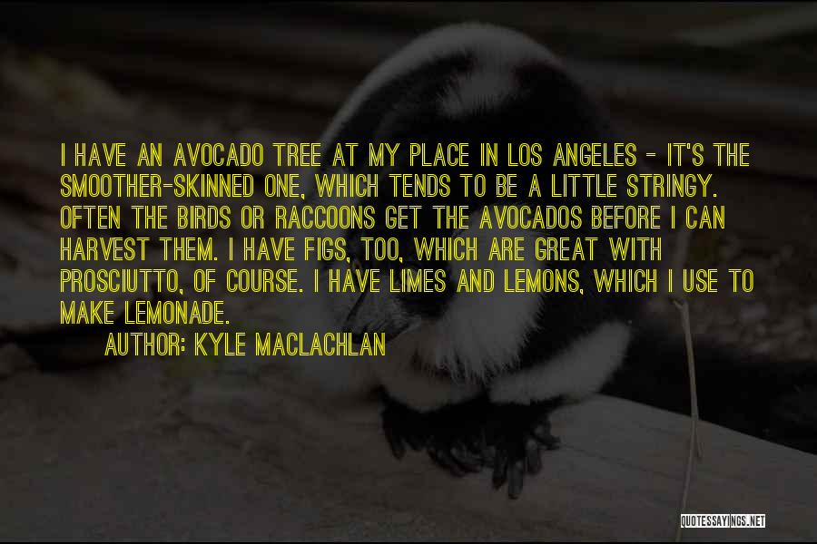 Kyle MacLachlan Quotes: I Have An Avocado Tree At My Place In Los Angeles - It's The Smoother-skinned One, Which Tends To Be