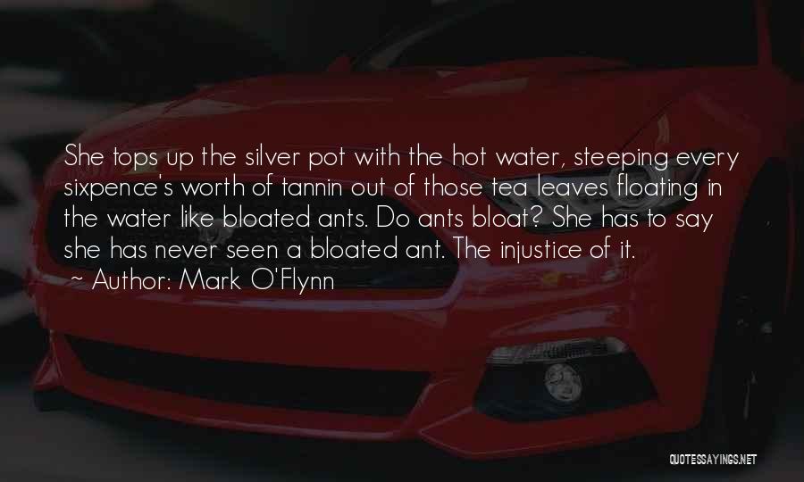 Mark O'Flynn Quotes: She Tops Up The Silver Pot With The Hot Water, Steeping Every Sixpence's Worth Of Tannin Out Of Those Tea