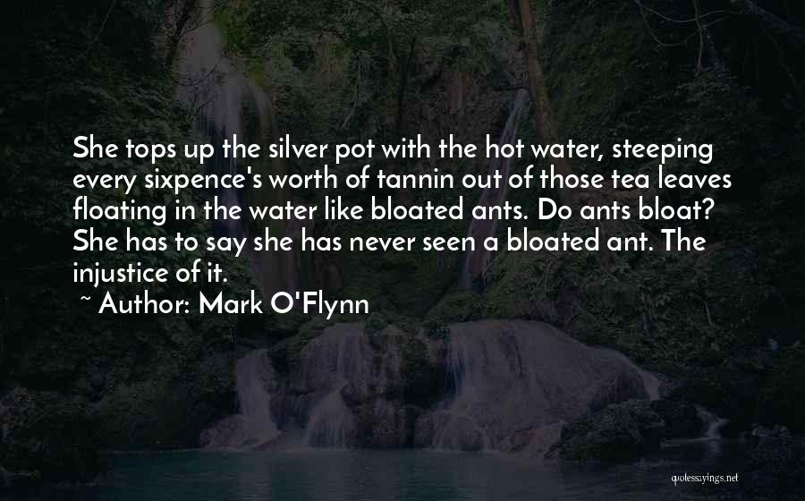 Mark O'Flynn Quotes: She Tops Up The Silver Pot With The Hot Water, Steeping Every Sixpence's Worth Of Tannin Out Of Those Tea