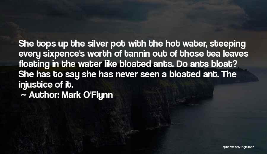 Mark O'Flynn Quotes: She Tops Up The Silver Pot With The Hot Water, Steeping Every Sixpence's Worth Of Tannin Out Of Those Tea