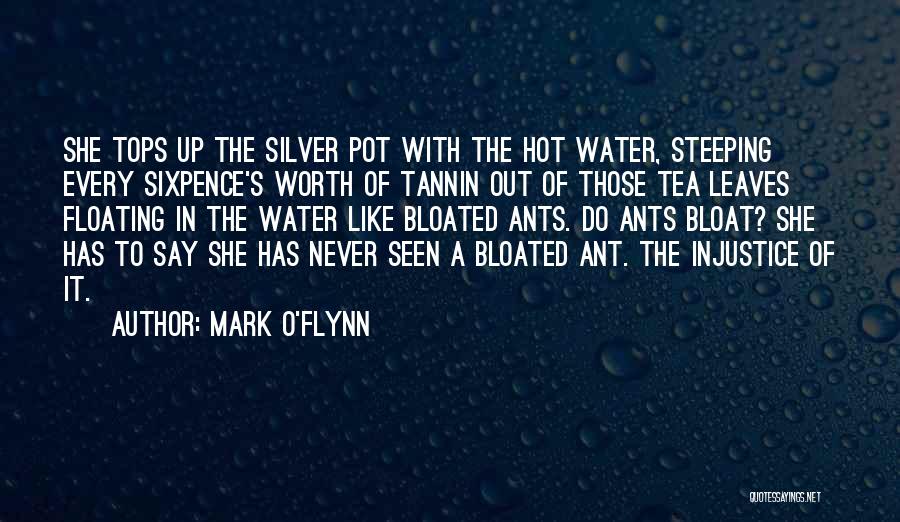 Mark O'Flynn Quotes: She Tops Up The Silver Pot With The Hot Water, Steeping Every Sixpence's Worth Of Tannin Out Of Those Tea