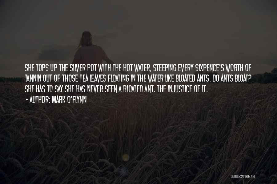 Mark O'Flynn Quotes: She Tops Up The Silver Pot With The Hot Water, Steeping Every Sixpence's Worth Of Tannin Out Of Those Tea
