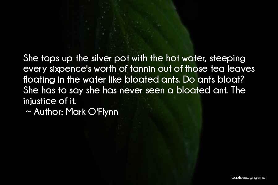Mark O'Flynn Quotes: She Tops Up The Silver Pot With The Hot Water, Steeping Every Sixpence's Worth Of Tannin Out Of Those Tea