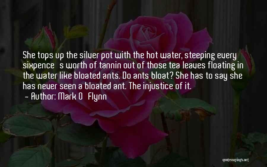 Mark O'Flynn Quotes: She Tops Up The Silver Pot With The Hot Water, Steeping Every Sixpence's Worth Of Tannin Out Of Those Tea