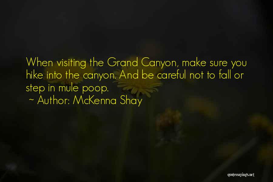 McKenna Shay Quotes: When Visiting The Grand Canyon, Make Sure You Hike Into The Canyon. And Be Careful Not To Fall Or Step