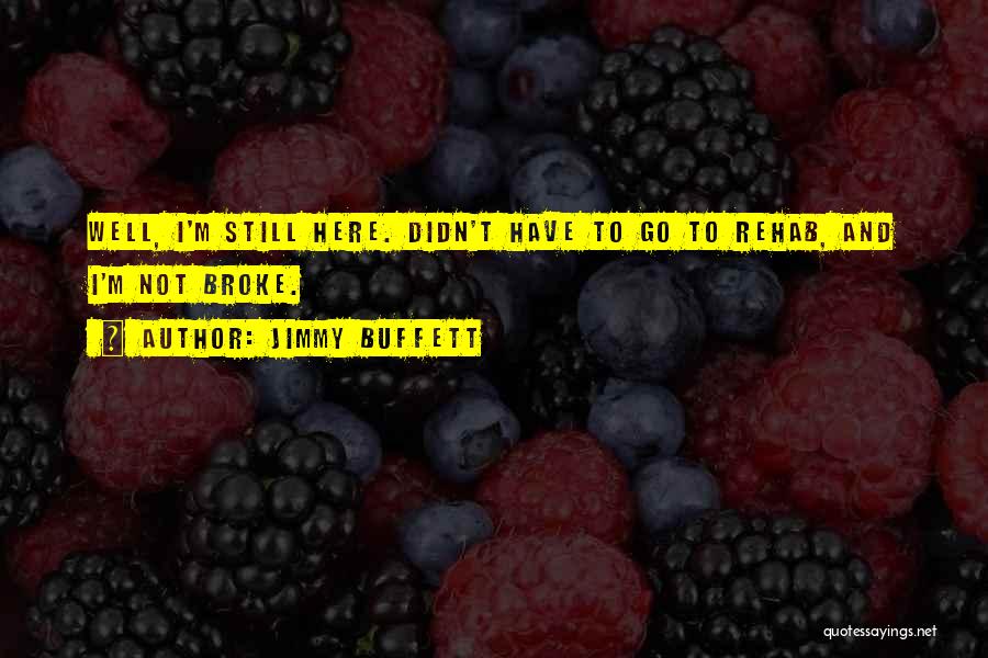 Jimmy Buffett Quotes: Well, I'm Still Here. Didn't Have To Go To Rehab, And I'm Not Broke.