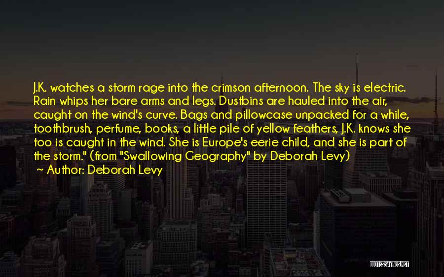 Deborah Levy Quotes: J.k. Watches A Storm Rage Into The Crimson Afternoon. The Sky Is Electric. Rain Whips Her Bare Arms And Legs.