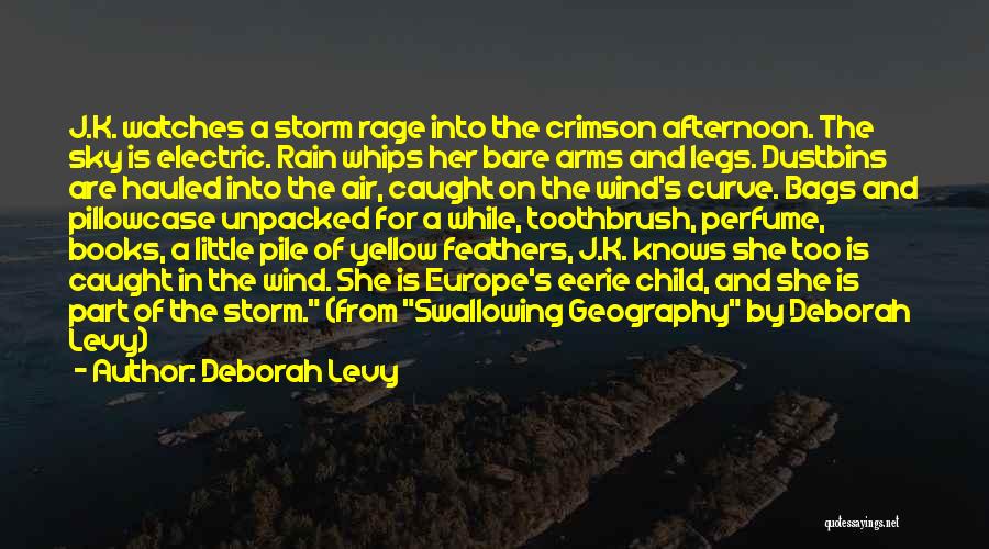 Deborah Levy Quotes: J.k. Watches A Storm Rage Into The Crimson Afternoon. The Sky Is Electric. Rain Whips Her Bare Arms And Legs.