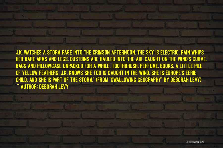 Deborah Levy Quotes: J.k. Watches A Storm Rage Into The Crimson Afternoon. The Sky Is Electric. Rain Whips Her Bare Arms And Legs.