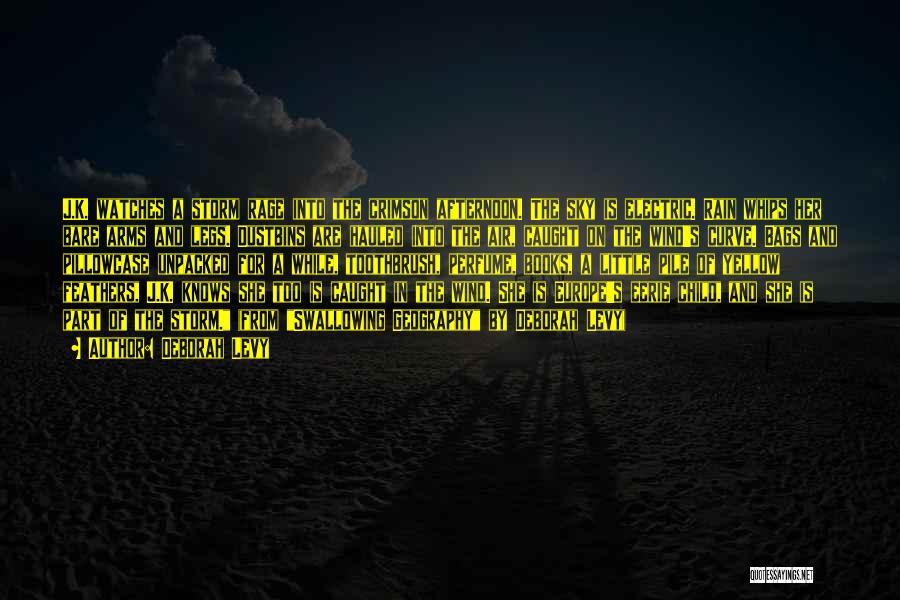 Deborah Levy Quotes: J.k. Watches A Storm Rage Into The Crimson Afternoon. The Sky Is Electric. Rain Whips Her Bare Arms And Legs.