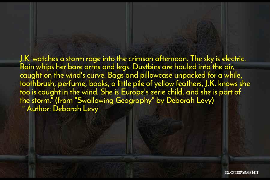 Deborah Levy Quotes: J.k. Watches A Storm Rage Into The Crimson Afternoon. The Sky Is Electric. Rain Whips Her Bare Arms And Legs.