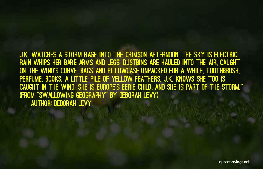 Deborah Levy Quotes: J.k. Watches A Storm Rage Into The Crimson Afternoon. The Sky Is Electric. Rain Whips Her Bare Arms And Legs.