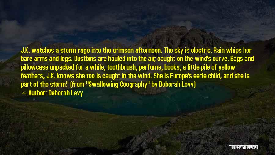 Deborah Levy Quotes: J.k. Watches A Storm Rage Into The Crimson Afternoon. The Sky Is Electric. Rain Whips Her Bare Arms And Legs.