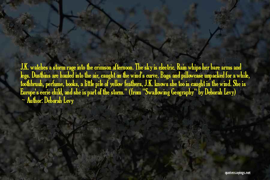 Deborah Levy Quotes: J.k. Watches A Storm Rage Into The Crimson Afternoon. The Sky Is Electric. Rain Whips Her Bare Arms And Legs.