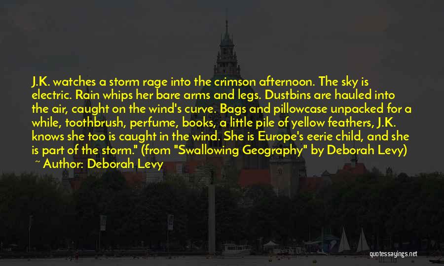 Deborah Levy Quotes: J.k. Watches A Storm Rage Into The Crimson Afternoon. The Sky Is Electric. Rain Whips Her Bare Arms And Legs.