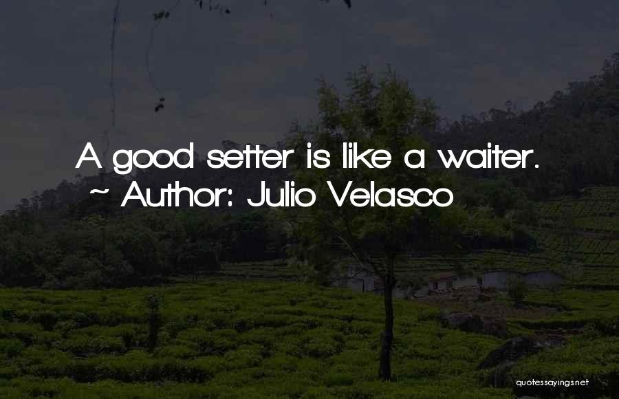 Julio Velasco Quotes: A Good Setter Is Like A Waiter.