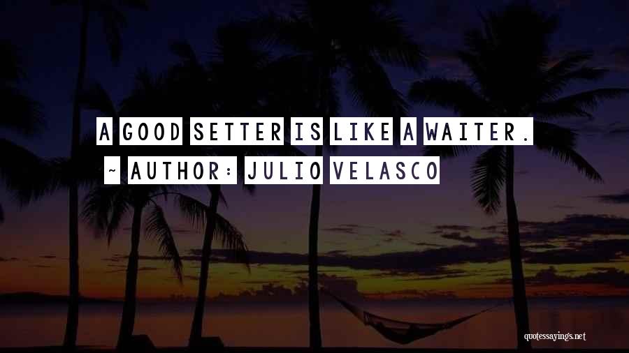 Julio Velasco Quotes: A Good Setter Is Like A Waiter.