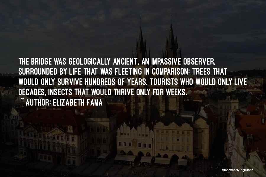 Elizabeth Fama Quotes: The Bridge Was Geologically Ancient, An Impassive Observer, Surrounded By Life That Was Fleeting In Comparison: Trees That Would Only