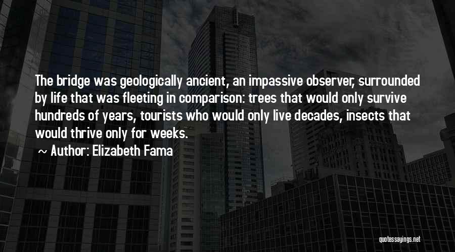 Elizabeth Fama Quotes: The Bridge Was Geologically Ancient, An Impassive Observer, Surrounded By Life That Was Fleeting In Comparison: Trees That Would Only