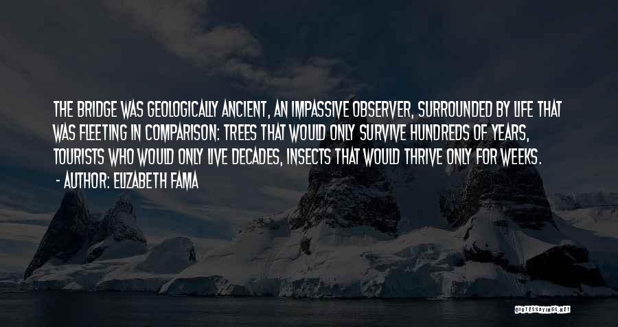 Elizabeth Fama Quotes: The Bridge Was Geologically Ancient, An Impassive Observer, Surrounded By Life That Was Fleeting In Comparison: Trees That Would Only