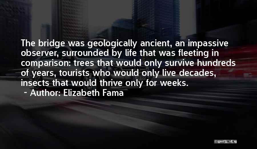 Elizabeth Fama Quotes: The Bridge Was Geologically Ancient, An Impassive Observer, Surrounded By Life That Was Fleeting In Comparison: Trees That Would Only