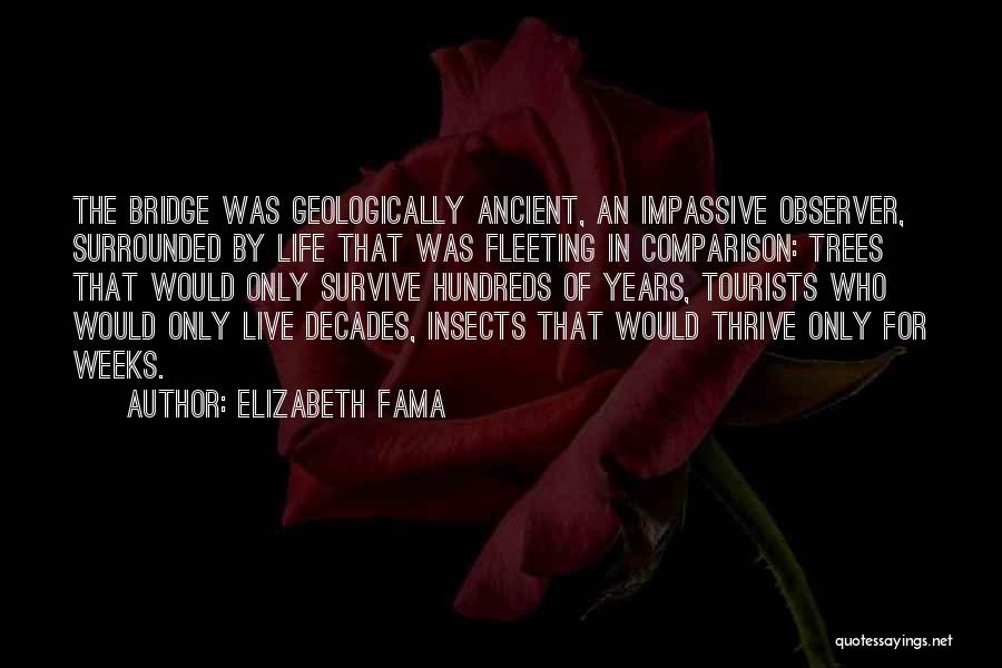 Elizabeth Fama Quotes: The Bridge Was Geologically Ancient, An Impassive Observer, Surrounded By Life That Was Fleeting In Comparison: Trees That Would Only