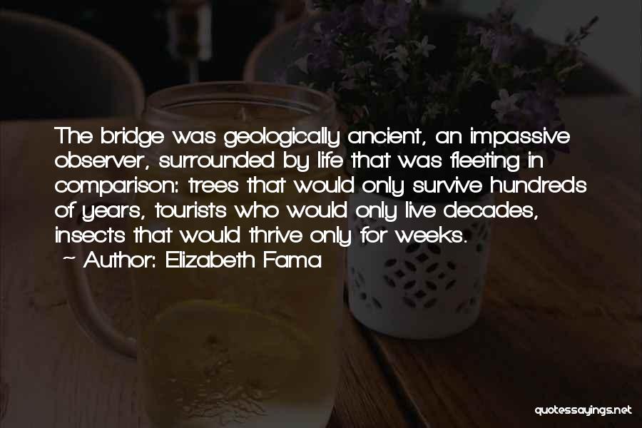 Elizabeth Fama Quotes: The Bridge Was Geologically Ancient, An Impassive Observer, Surrounded By Life That Was Fleeting In Comparison: Trees That Would Only