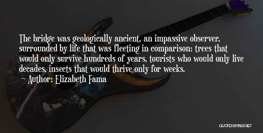 Elizabeth Fama Quotes: The Bridge Was Geologically Ancient, An Impassive Observer, Surrounded By Life That Was Fleeting In Comparison: Trees That Would Only