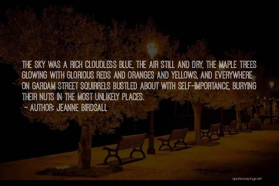 Jeanne Birdsall Quotes: The Sky Was A Rich Cloudless Blue, The Air Still And Dry, The Maple Trees Glowing With Glorious Reds And