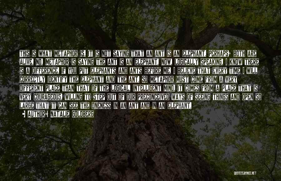Natalie Goldberg Quotes: This Is What Metaphor Is. It Is Not Saying That An Ant Is An Elephant. Perhaps; Both Are Alive. No.