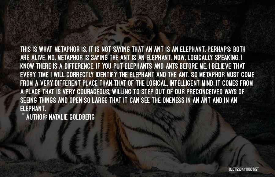 Natalie Goldberg Quotes: This Is What Metaphor Is. It Is Not Saying That An Ant Is An Elephant. Perhaps; Both Are Alive. No.