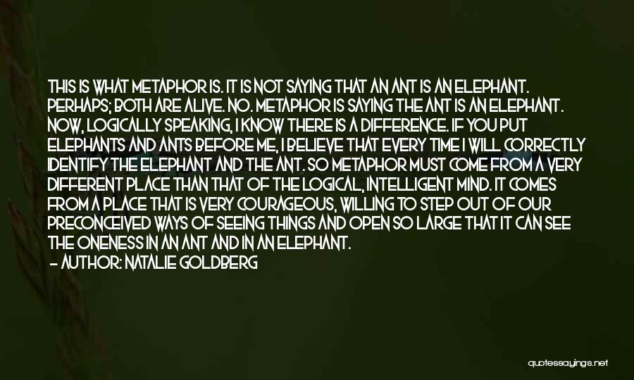 Natalie Goldberg Quotes: This Is What Metaphor Is. It Is Not Saying That An Ant Is An Elephant. Perhaps; Both Are Alive. No.