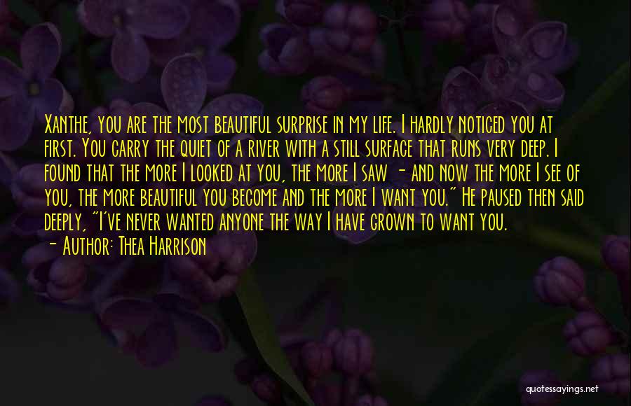 Thea Harrison Quotes: Xanthe, You Are The Most Beautiful Surprise In My Life. I Hardly Noticed You At First. You Carry The Quiet