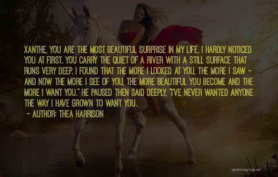 Thea Harrison Quotes: Xanthe, You Are The Most Beautiful Surprise In My Life. I Hardly Noticed You At First. You Carry The Quiet