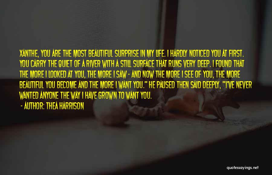Thea Harrison Quotes: Xanthe, You Are The Most Beautiful Surprise In My Life. I Hardly Noticed You At First. You Carry The Quiet