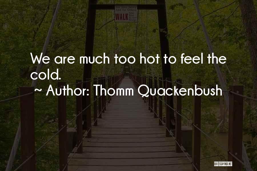 Thomm Quackenbush Quotes: We Are Much Too Hot To Feel The Cold.