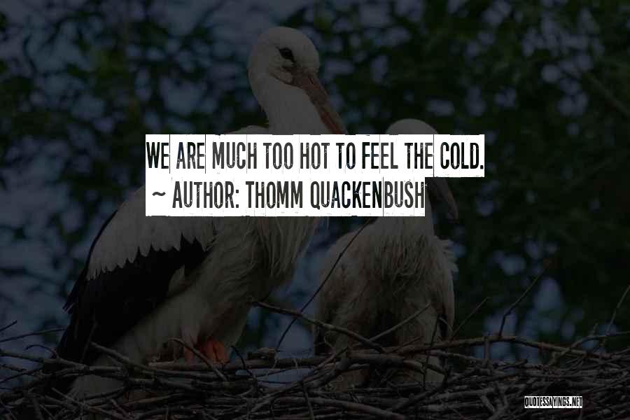 Thomm Quackenbush Quotes: We Are Much Too Hot To Feel The Cold.