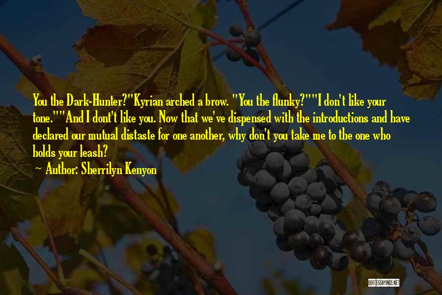 Sherrilyn Kenyon Quotes: You The Dark-hunter?kyrian Arched A Brow. You The Flunky?i Don't Like Your Tone.and I Dont't Like You. Now That We've