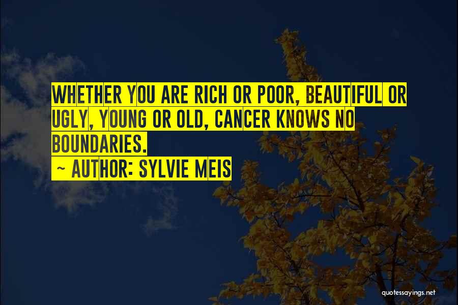 Sylvie Meis Quotes: Whether You Are Rich Or Poor, Beautiful Or Ugly, Young Or Old, Cancer Knows No Boundaries.
