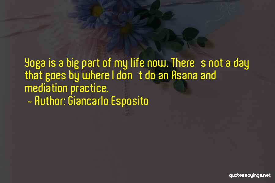 Giancarlo Esposito Quotes: Yoga Is A Big Part Of My Life Now. There's Not A Day That Goes By Where I Don't Do